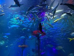 -沈阳海洋探索中心