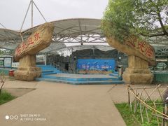 -合肥野生动物园