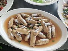 -阿南海鲜