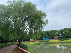 -嘉北郊野公园