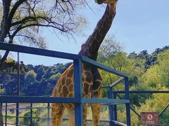 -沈阳森林动物园