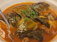 红焖生态甲鱼-巴音浩日娲·蒙餐(双林东路店)
