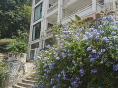 -一朵花事咖啡厅(山原色民宿店)
