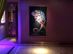 -纯K(打浦桥店)
