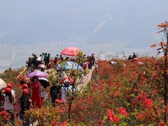 -瑞安圣井山景区
