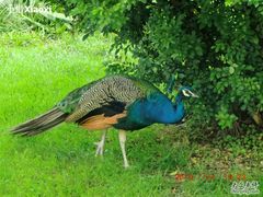 照片-西昌邛海宾馆