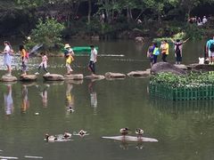 -呀诺达热带雨林