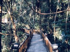 -天门沟九州驿站树上汤泉