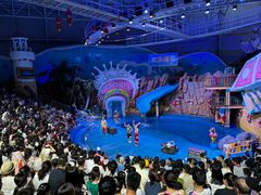 -烟台海昌鲸鲨海洋公园