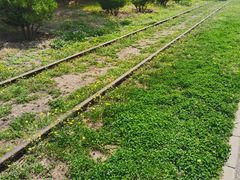 -永定河休闲森林公园