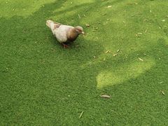 -南通洲际绿博园