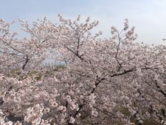 -苏州上方山国家森林公园