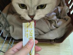 -瑞鹏宠物医院微创手术中心(西乡分院)