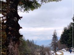 -硗碛藏寨·神木垒景区