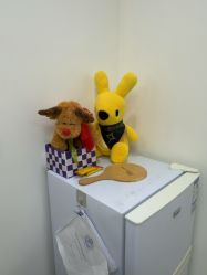 -上海伊莱美医疗美容医院