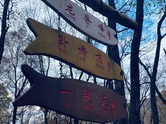 -香炉山国家森林公园