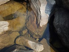 -海南热带雨林国家公园吊罗山景区