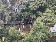 -天鹿湖森林公园