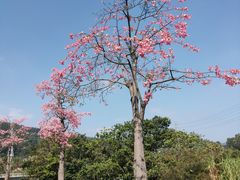 -中国移动南方基地