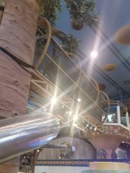 -卡通尼·Safari非洲探索乐园·生日会(金桥国际商业广场店)