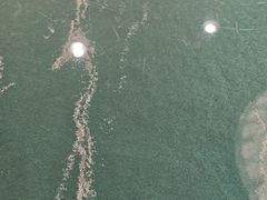 -平壤馆(西塔街店)