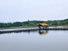 -溱湖国家湿地公园