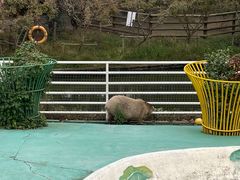 -苏州太湖西山岛开心农场