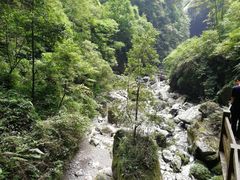 -武隆天坑地缝国家地质公园