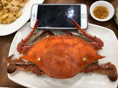 -洲晓鲜·舟山海鲜大排档(朱家尖风景区店)