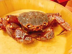 -蟹田居·活蟹料理(东城店)