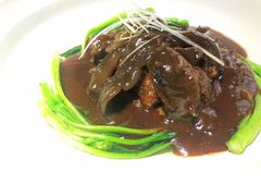 肝油辽参-松云泽
