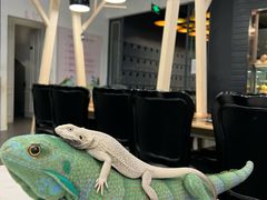 -FAIRYLAND龙族星球主题餐厅(凯丹广场店)