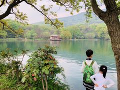 -紫霞湖公园