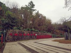 -王借岗森林公园