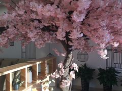 -汤里来温泉