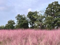 -汉长安城未央宫国家考古遗址公园