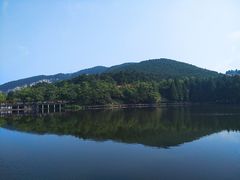 -庐山风景区花径公园