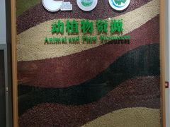-房山世界地质公园博物馆