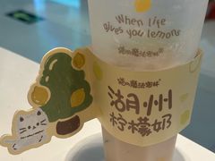 -猫的魔法密林(衣裳街店)