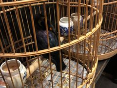 -到家尝北京菜(西坝河店)