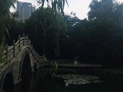 -莲湖公园