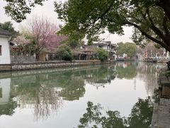 -金泽古镇