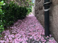-山东外贸职业学院