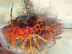 -天天渔港(杏林街店)