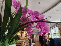 -花舍·新派粤菜·西餐·下午茶(亚运村·鸟巢店)