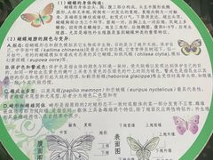 -上海大自然野生昆虫馆