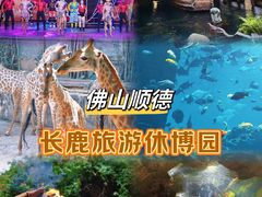 -长鹿旅游休博园