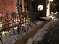 -新世界百货(明洞总店)