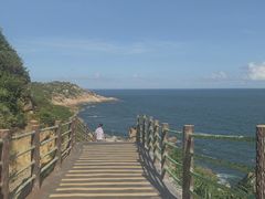-广东惠东海龟国家级自然保护区