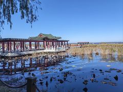 -黑龙江扎龙生态旅游区